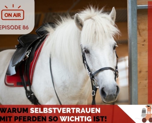 Pferdepodcast Pferdewissen Selbstvertrauen mit Pferden
