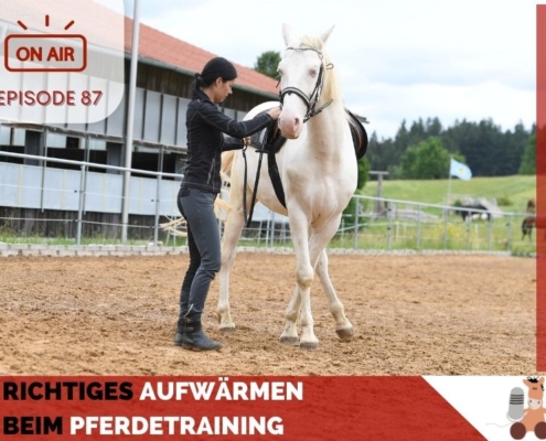 Richtiges Aufwärmen im Pferdetraining