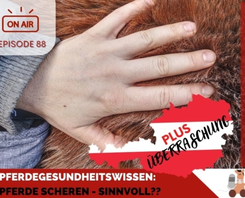 Pferde scheren sinnvoll