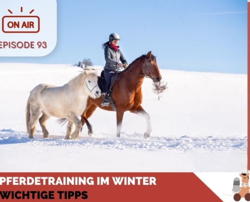 Pferdetraining im Winter - wichtige Tipps