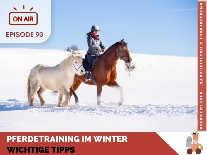 Pferdetraining im Winter - wichtige Tipps