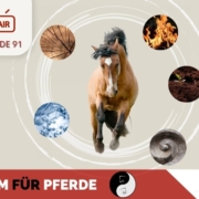 TCM_Pferde_Pferdepodcast_Pferdegesundheit_Sandra_Fencl
