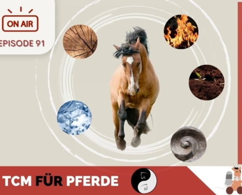 TCM_Pferde_Pferdepodcast_Pferdegesundheit_Sandra_Fencl