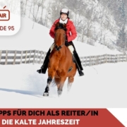 Wintertipps für ReiterInnen im Pferdetraining