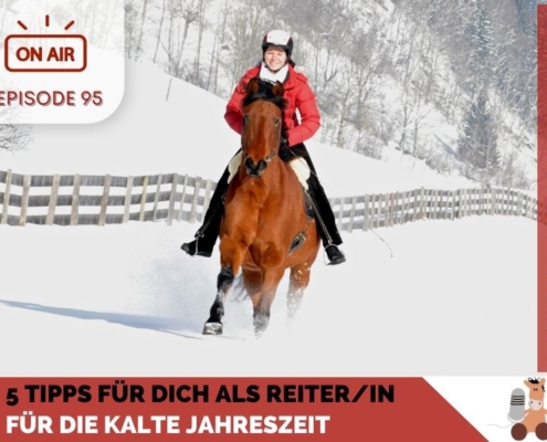Wintertipps für ReiterInnen im Pferdetraining