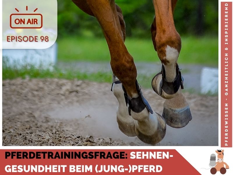 Pferdepodcast Reitkunst