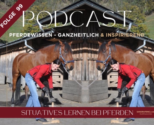 Situatives Lernen bei Pferden und im Pferdetraining Pferdepodcast Pferdewissen