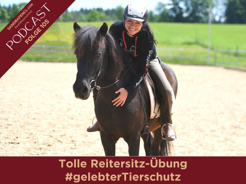 Pferdepodcast Reitkunst