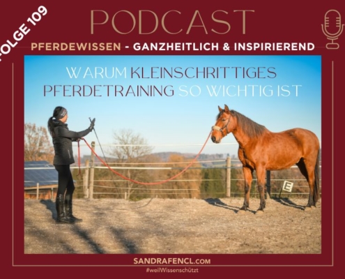 Kleinschrittiges Pferdetraining