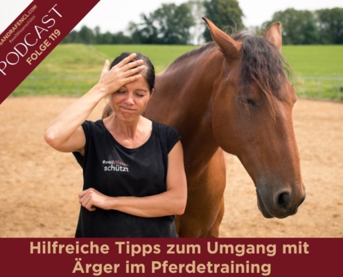 Hilfreiche Tipps zum Umgang mit Ärger im Pferdetraining
