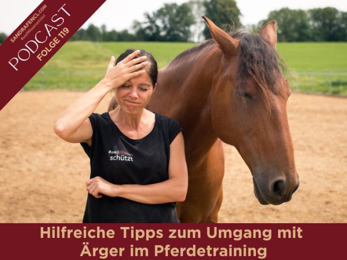 Hilfreiche Tipps zum Umgang mit Ärger im Pferdetraining
