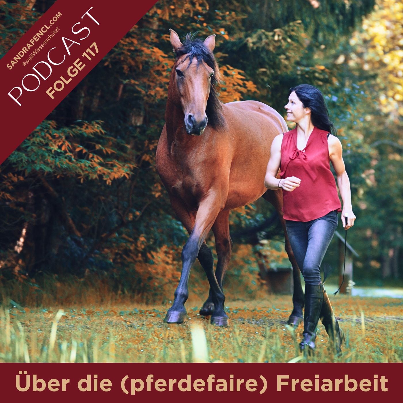 Pferdepodcast Reitkunst