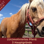 Unmotiviertes Pferd im Pferdetraining