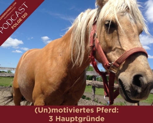Unmotiviertes Pferd im Pferdetraining