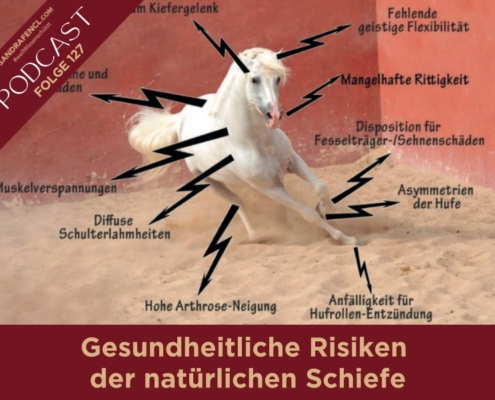 Gesundheitliche Risiken der natürlichen Schiefe des Pferdes | Pferdepodcast | Sandra Fencl | Ganzheitliche Pferdetherapeutin | Gesundheitsrisiko