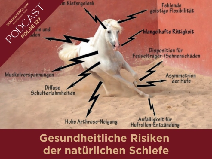 Gesundheitliche Risiken der natürlichen Schiefe des Pferdes | Pferdepodcast | Sandra Fencl | Ganzheitliche Pferdetherapeutin | Gesundheitsrisiko