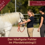 Sandra Fencl Pferdepodcast | Die häufigsten Fehler im Pferdetraining | #weilwissenschützt | Motivations-Killer Nr. 1 im Pferdetraining