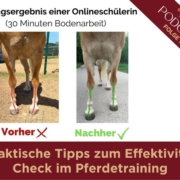 7 praktische Tipps zum Effektivitäts-Check im Pferdetraining | Freizeitreiter | Online-Ausbildung | Online-Pferdetraining | Sandra Fencl | Freizeitreiter Online-Akademie