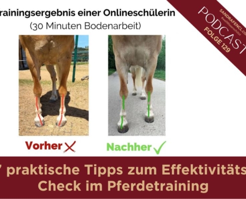 7 praktische Tipps zum Effektivitäts-Check im Pferdetraining | Freizeitreiter | Online-Ausbildung | Online-Pferdetraining | Sandra Fencl | Freizeitreiter Online-Akademie
