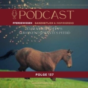 Silvestertipps für ein entspanntes Pferd trotz Feuerwerk | Sandra Fencl | Sandra Fencl Podcast | Sandra Fencl Pferdepodcast | Pferdepodcast | Silvestertipps für ein entspanntes Pferd trotz Feuerwerk | So kannst Du nervöse Pferde beruhigen