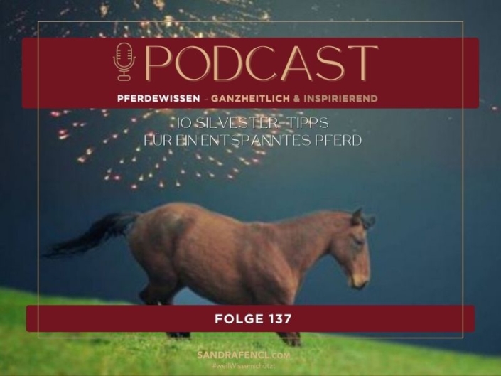 Silvestertipps für ein entspanntes Pferd trotz Feuerwerk | Sandra Fencl | Sandra Fencl Podcast | Sandra Fencl Pferdepodcast | Pferdepodcast | Silvestertipps für ein entspanntes Pferd trotz Feuerwerk | So kannst Du nervöse Pferde beruhigen