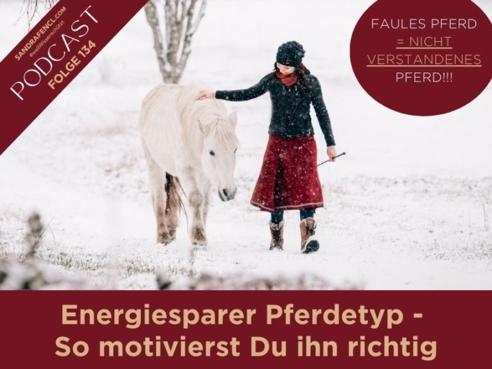 Energiesparer Pferdetyp | So motivierst Du ihn richtig | Energiesparer | Faules Pferd | Pferdepodcast | Sandra Fencl | Podcast | Pferdetraining | Pferdewissen | ganzheitlich