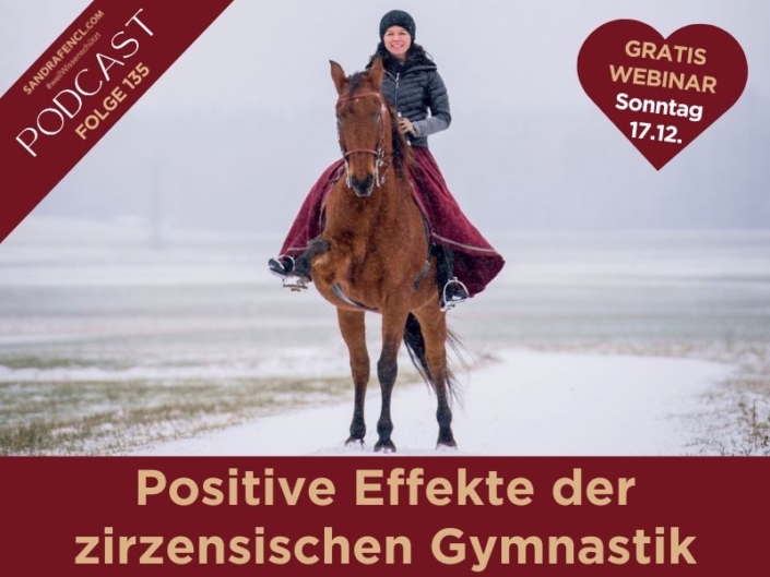 Positive Effekte der zirzensischen Gymnastik | Wie Du Dein Pferd abwechslungsreich gymnastizierst | Wenn Du nach einer Möglichkeit suchst, den winterlichen Stallalltag aufzupeppen und nicht genau weißt, wie, habe ich die perfekte Idee für Dich! Zirzensische Gymnastik für Dein Pferd kann unglaublich wertvoll sein.