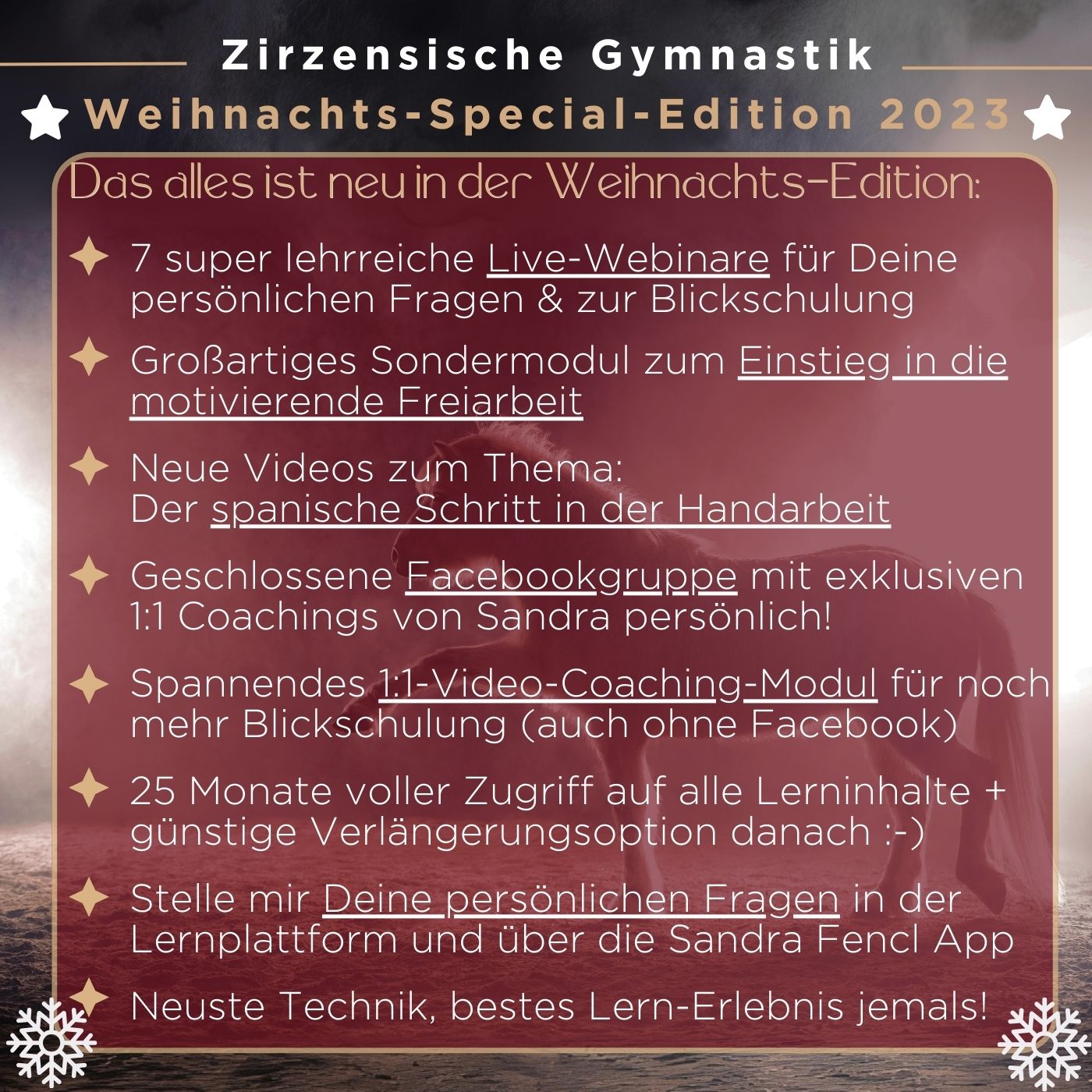 Zirzensische Gymnastik Weihnachtsedition 2023