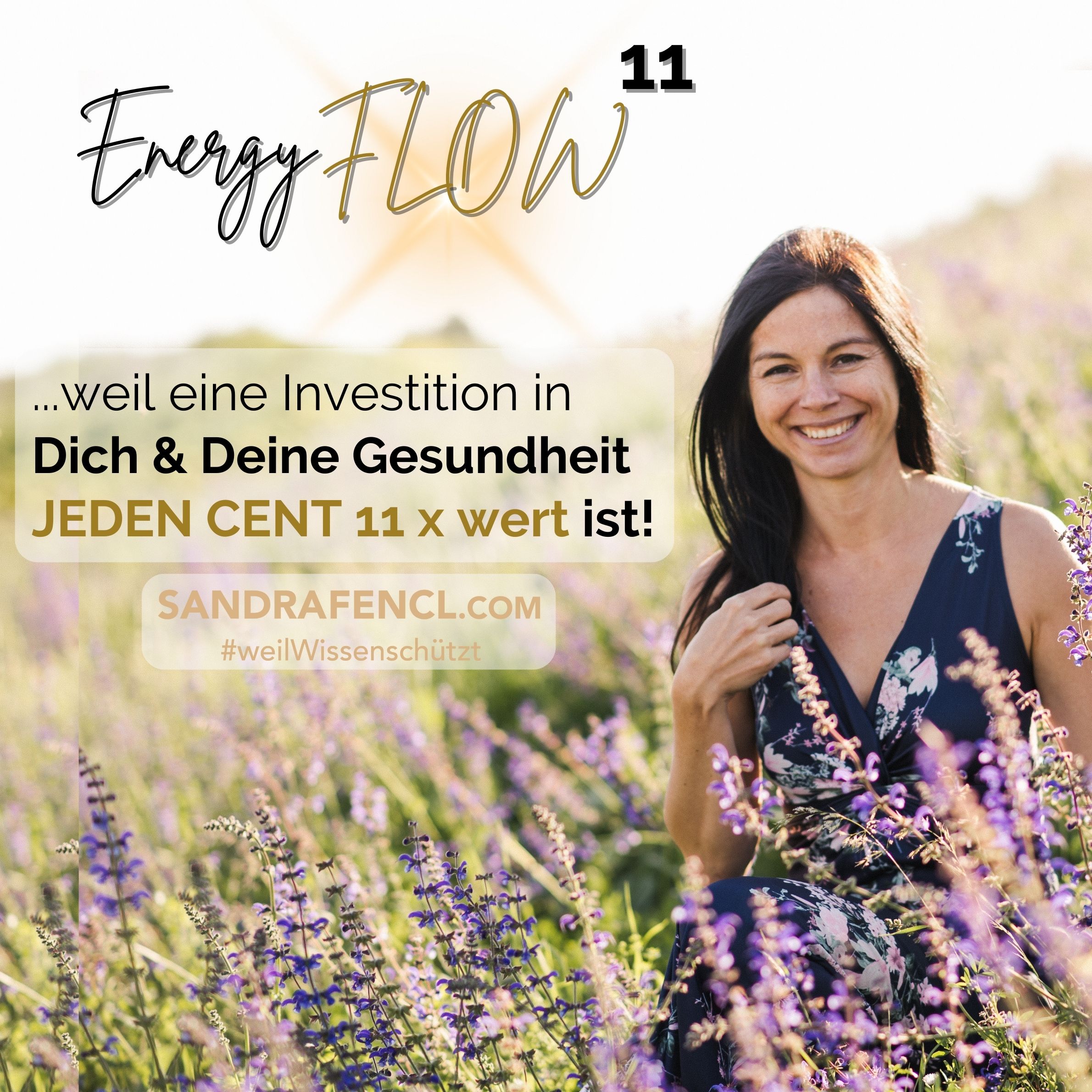 EnergyFLOW11 das Gesundheits-Onlineseminar