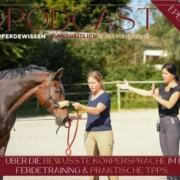 Körperbewusstsein im Pferdetraining