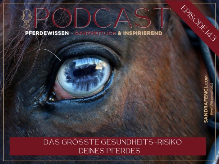 Pferdegesundheitsrisiko | Sandra Fencl | Pferdepodcast | Pferdewissen | Pferdegesundheit | Gesundes Pferd | Gesunde Pferde