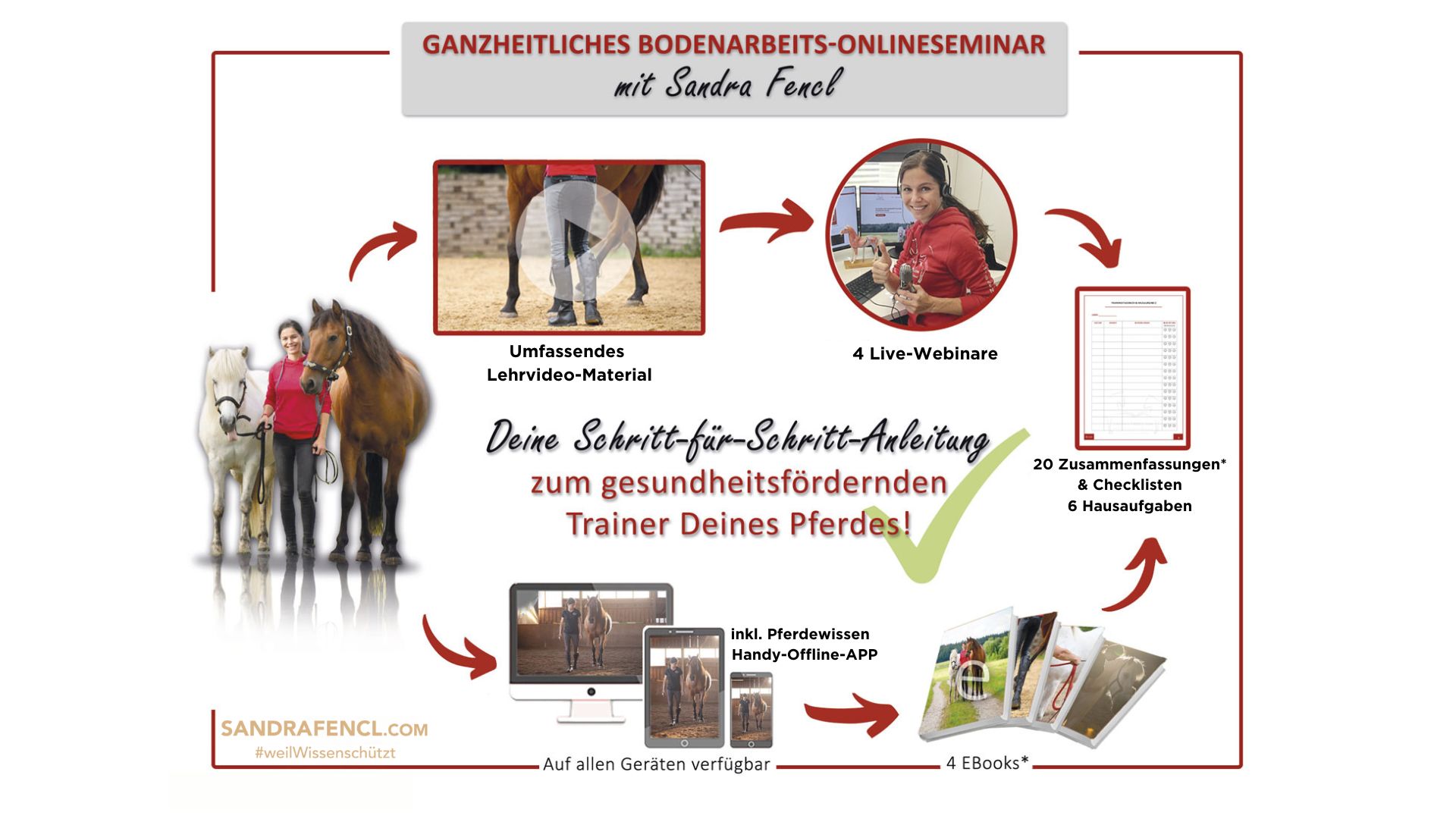 Bodenarbeits-Onlineseminar Sandra Fencl Übersicht