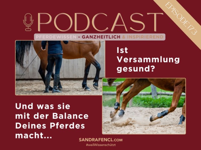 Versammlung gesund_Blog