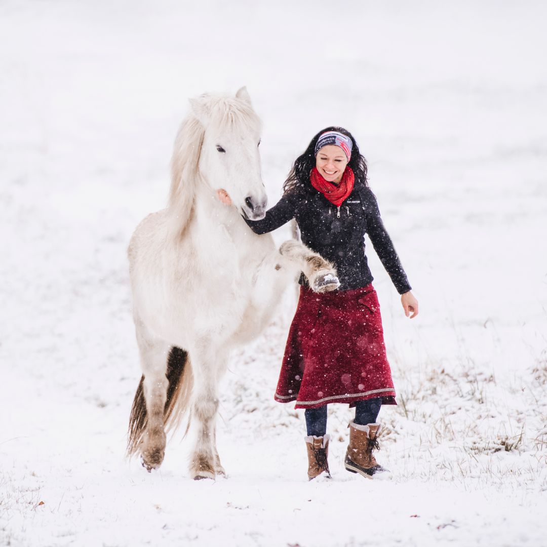 Kostenloses Zirzensik-Webinar