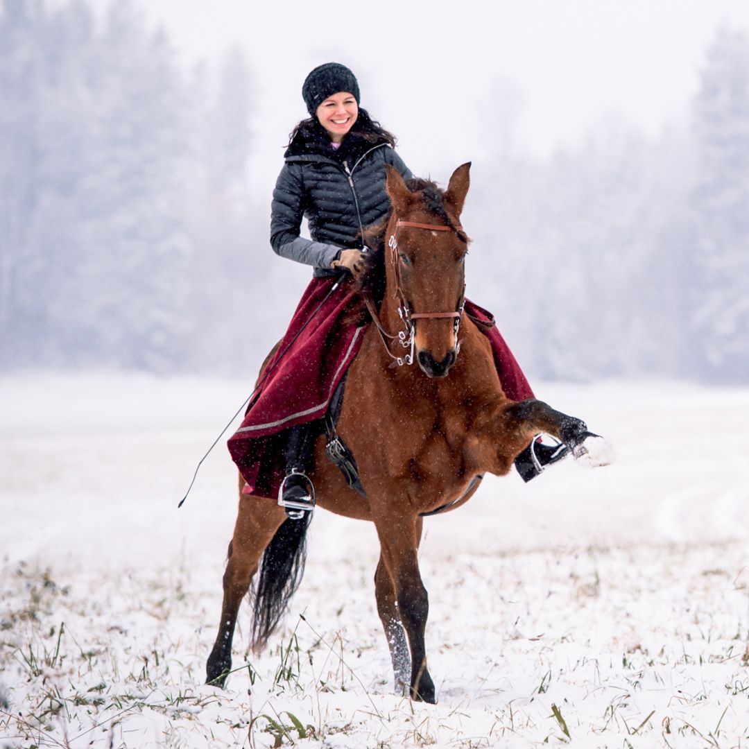 Zirzensik-Gratis-Webinar